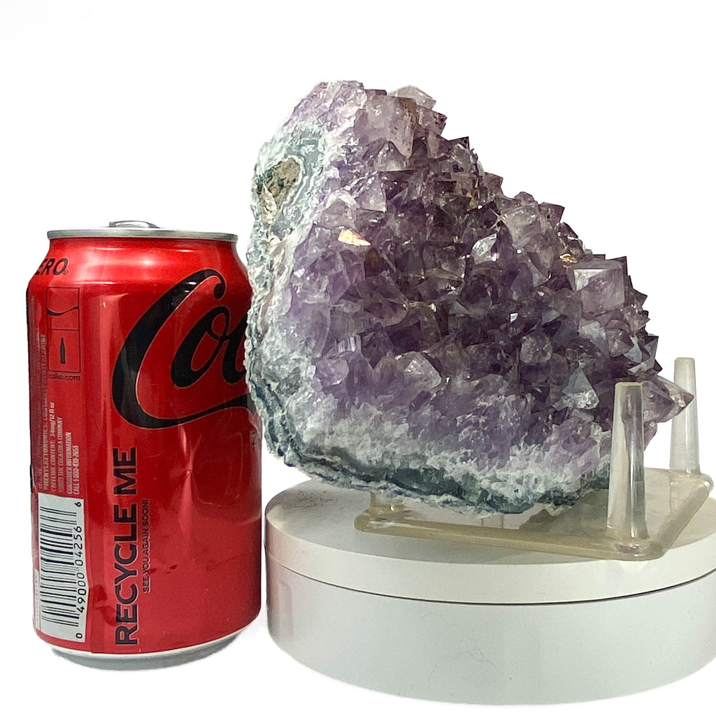 Rich amethyst cluster from South America with cacoxenite inclusions, a soda can for scale