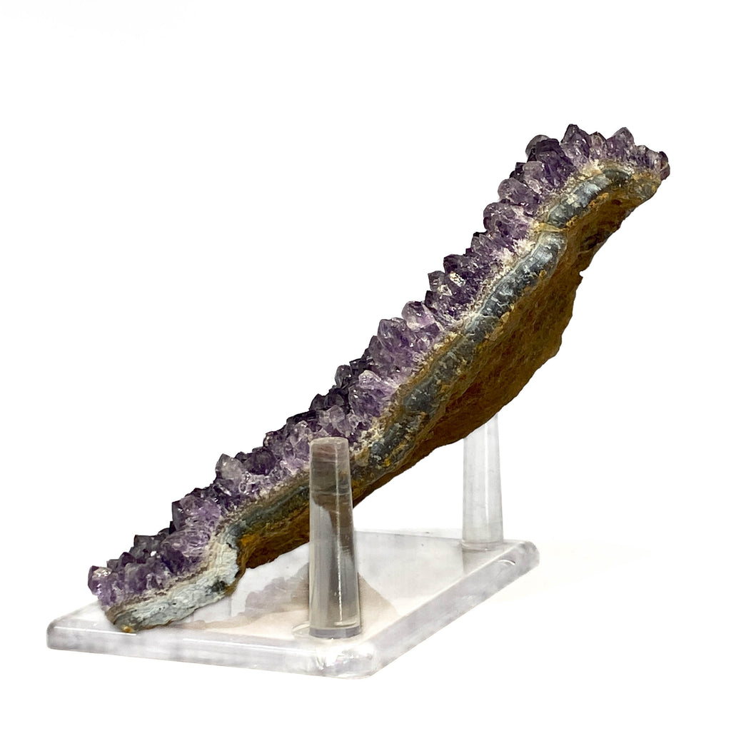Dark purple amethyst cluster with fine crystal points on white background