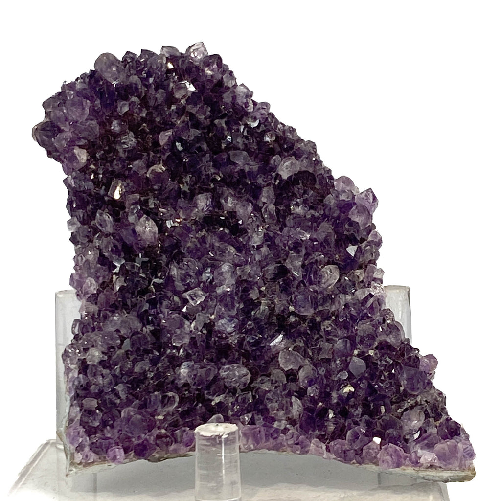 Dark purple amethyst cluster with fine crystal points on white background