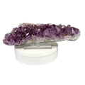 Elongated amethyst cluster with clear, iron-included crystals on white background