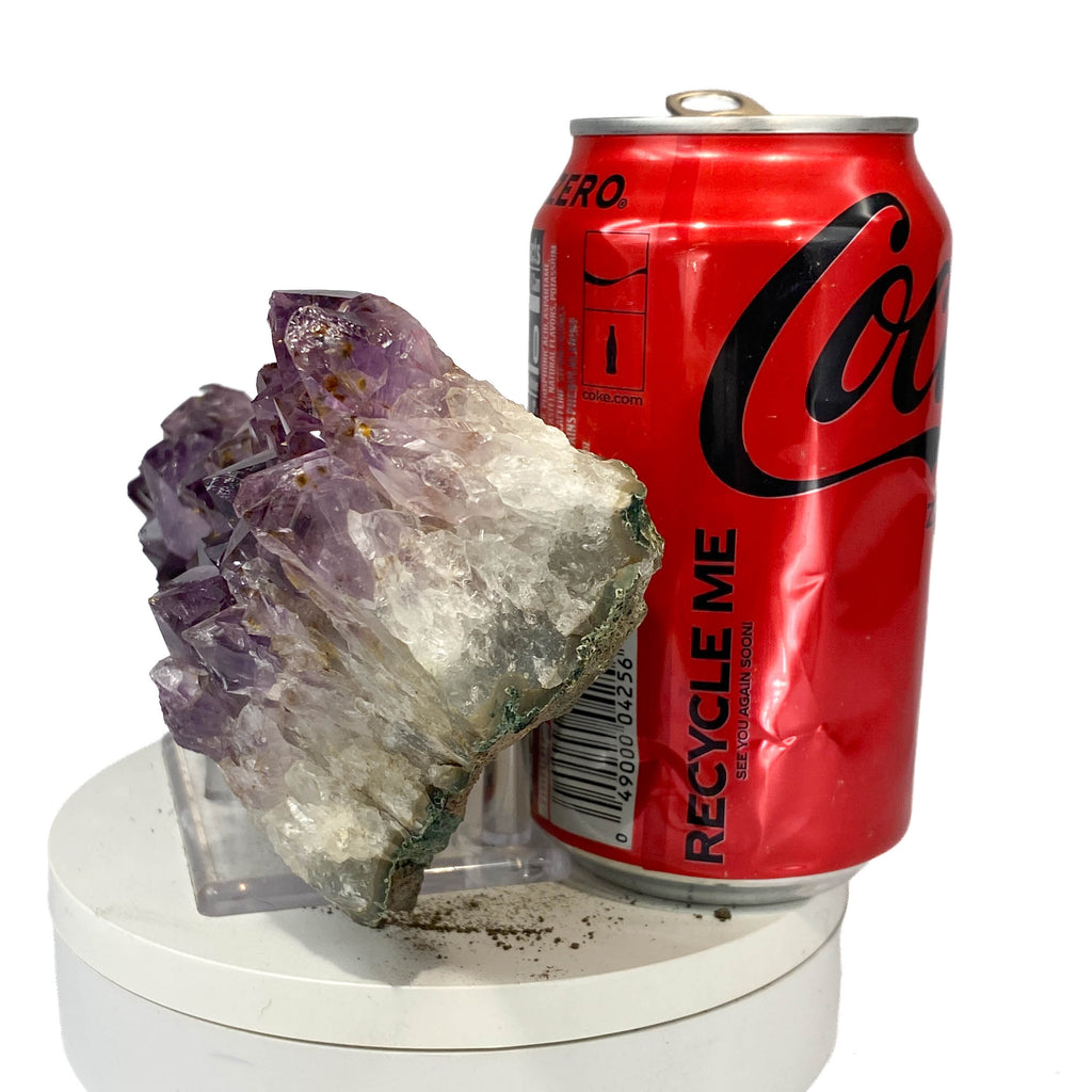 Elongated amethyst cluster with clear, iron-included crystals, a soda can for scale