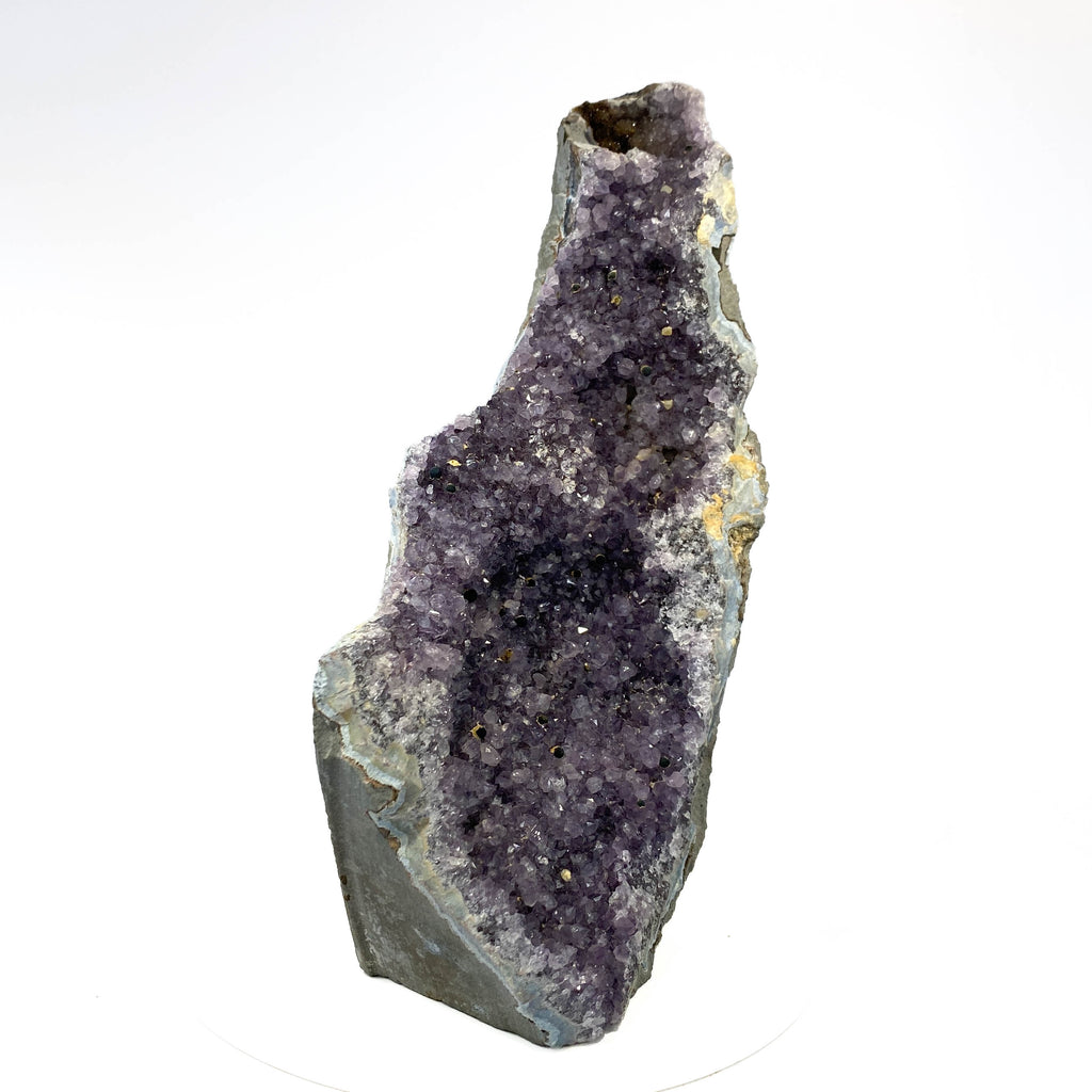 Standing deep amethyst cluster with black nodule inclusions on white background