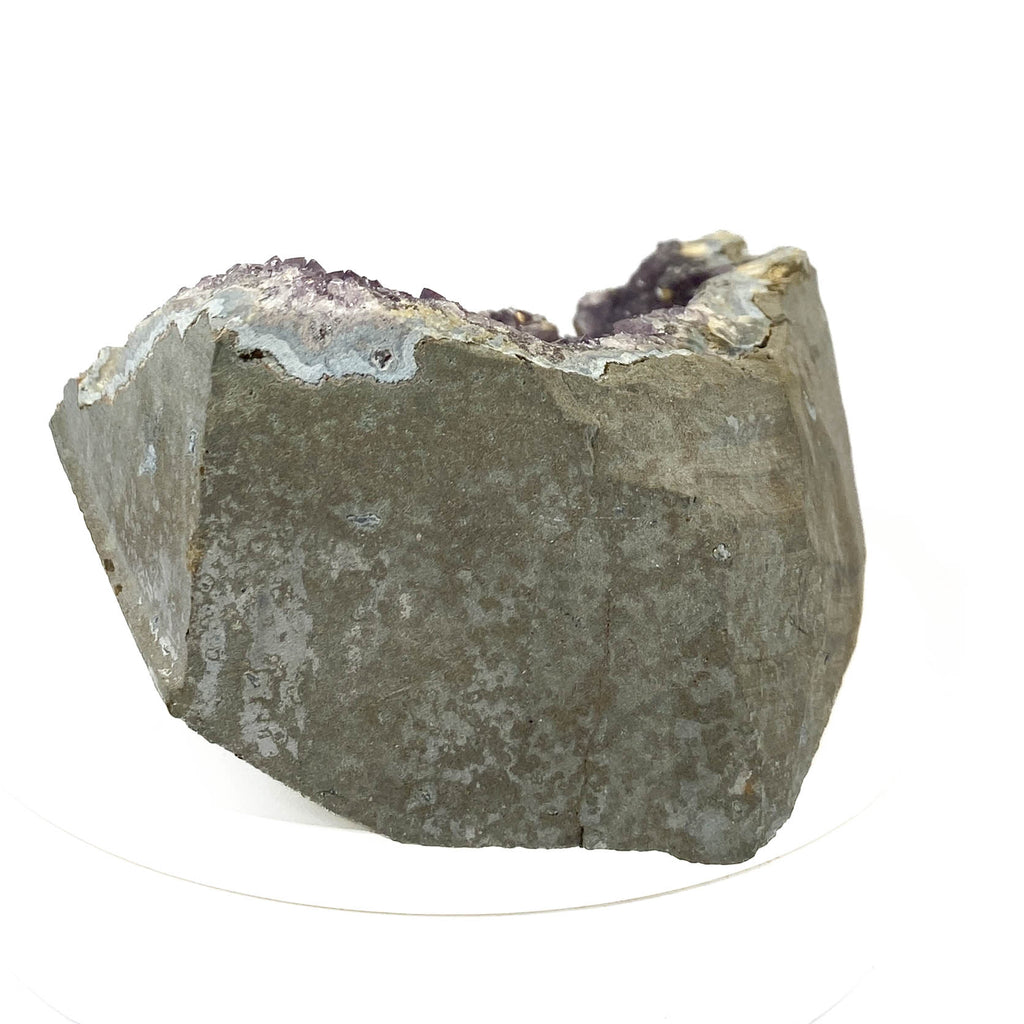Standing deep amethyst cluster with black nodule inclusions on white background