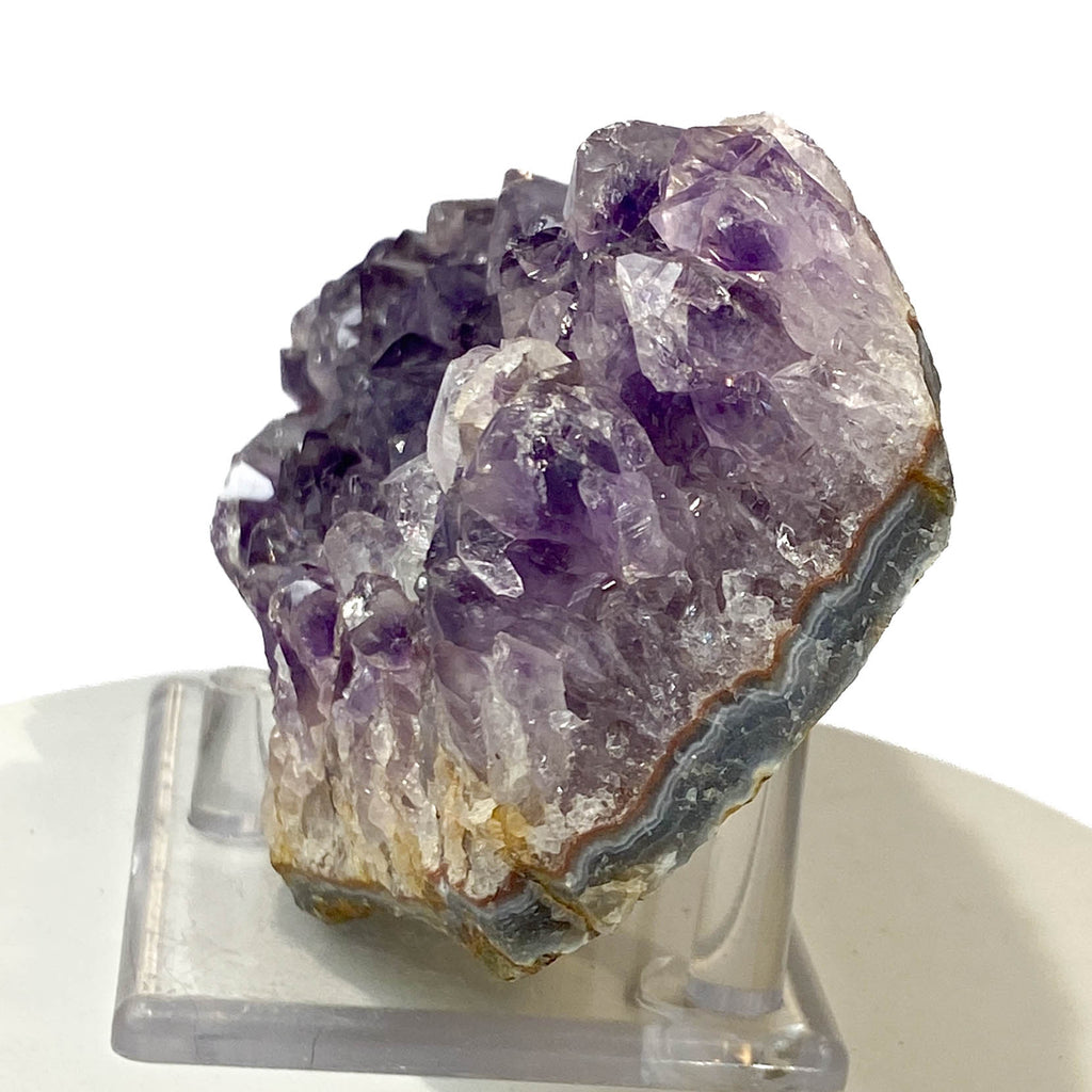 #1009  Rich Deep Amethyst Cluster with Some Clear Crystals for a Rich Contrast, Partial Amethyst Phantoms in Some Points, 6Lx3.25W x 1.75T, 1 lb  4.2oz