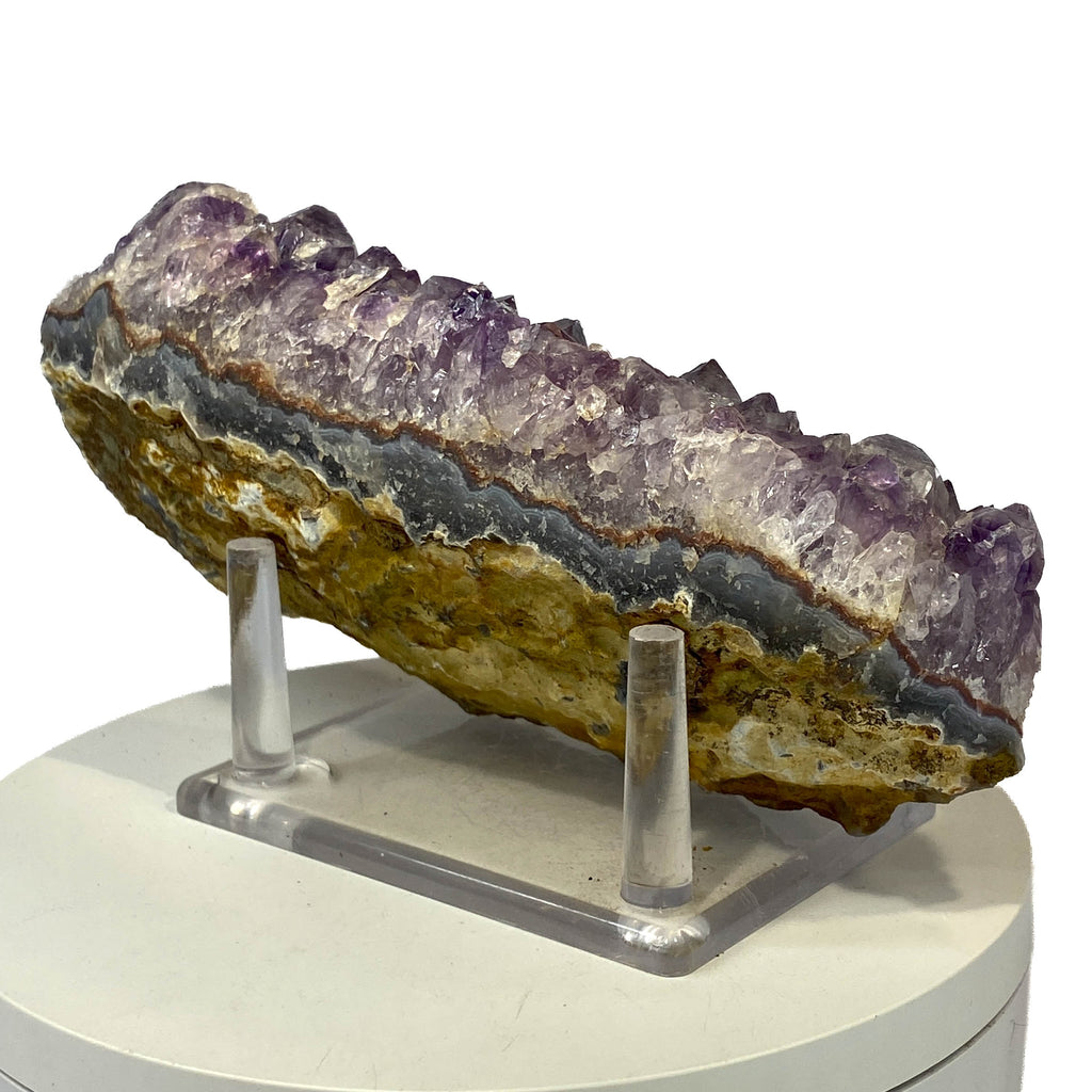 #1009  Rich Deep Amethyst Cluster with Some Clear Crystals for a Rich Contrast, Partial Amethyst Phantoms in Some Points, 6Lx3.25W x 1.75T, 1 lb  4.2oz