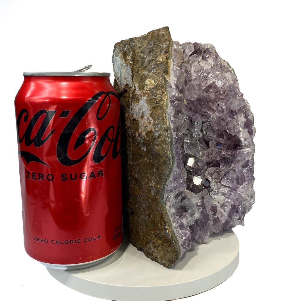 Amethyst geode cross section with clear crystal delineation, a soda can for scale