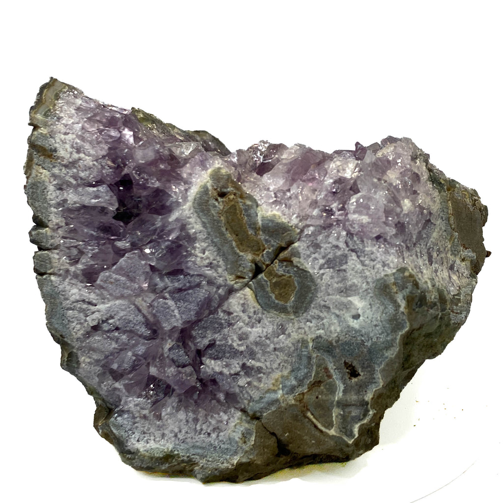 Amethyst geode cross section with clear crystal delineation on white background