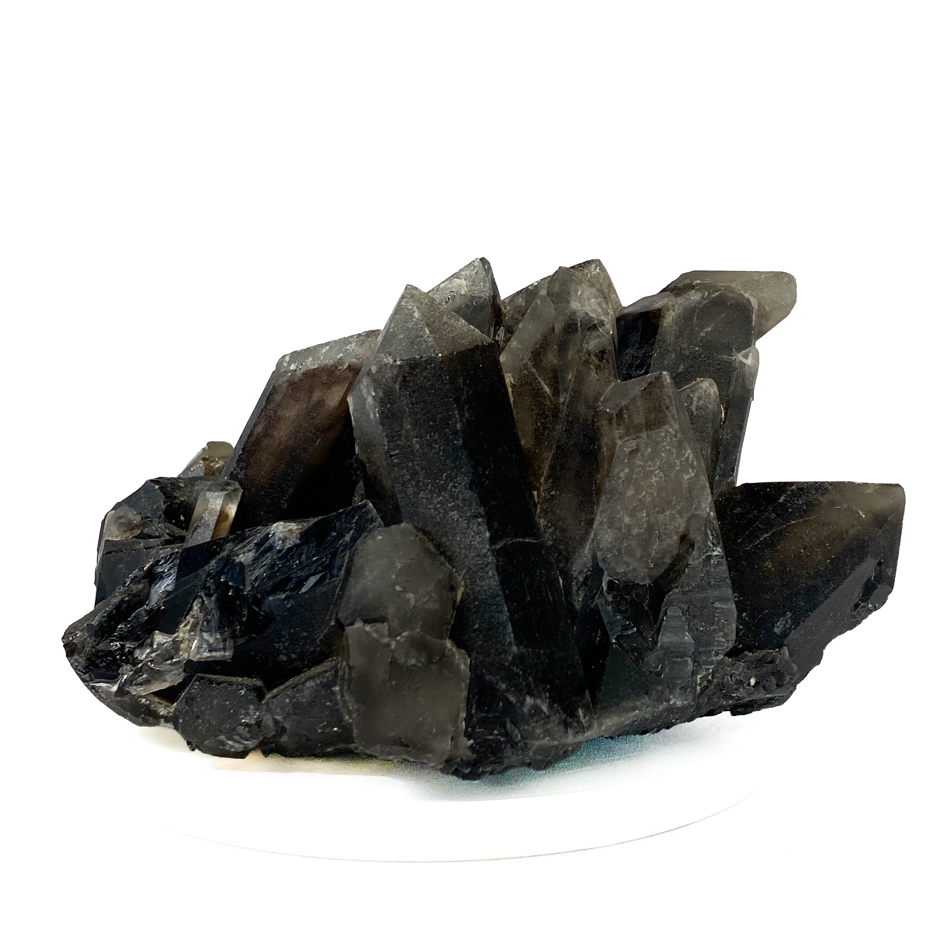 Black smoky quartz cluster with translucent crystals and good points on white background