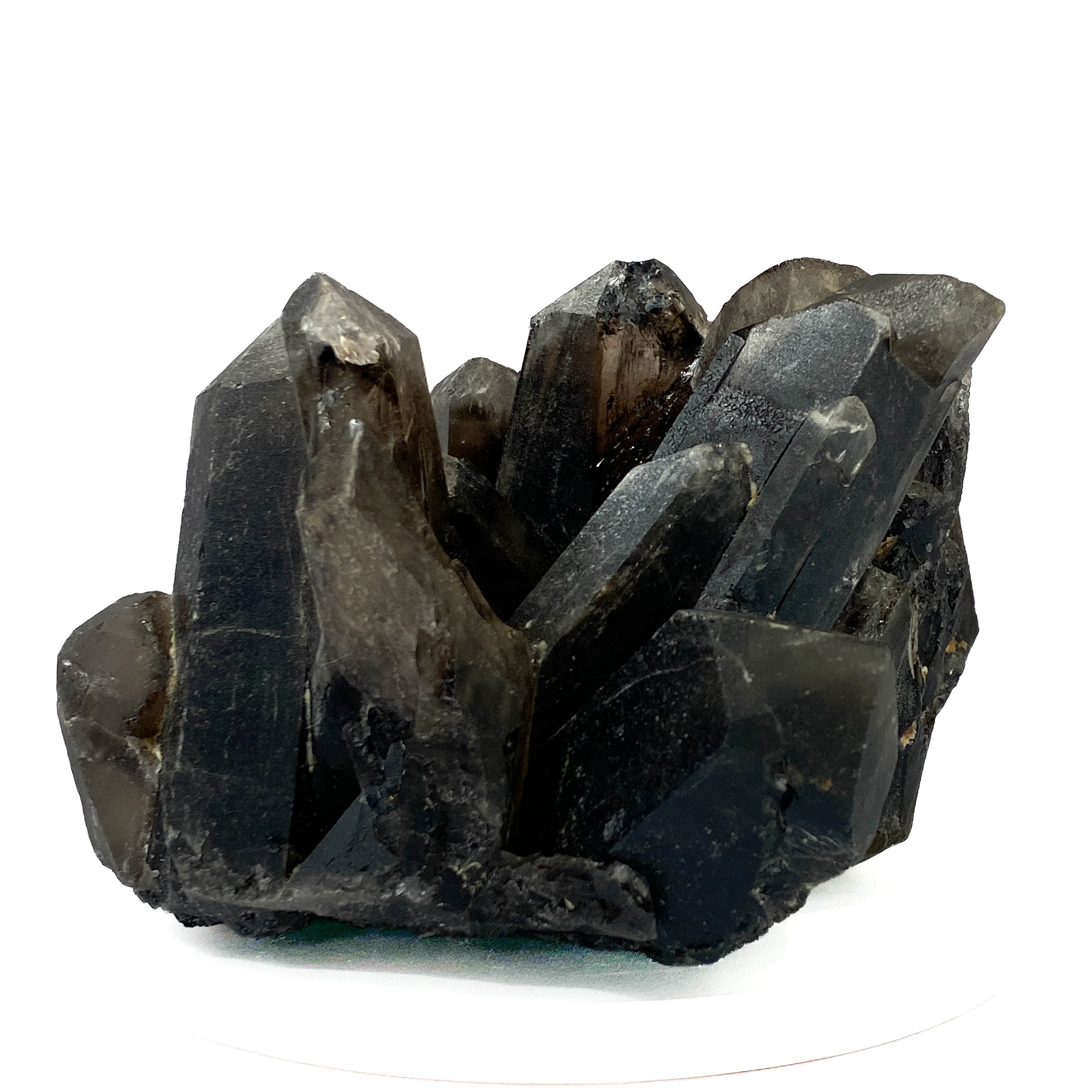 Black smoky quartz cluster with translucent crystals and good points on white background