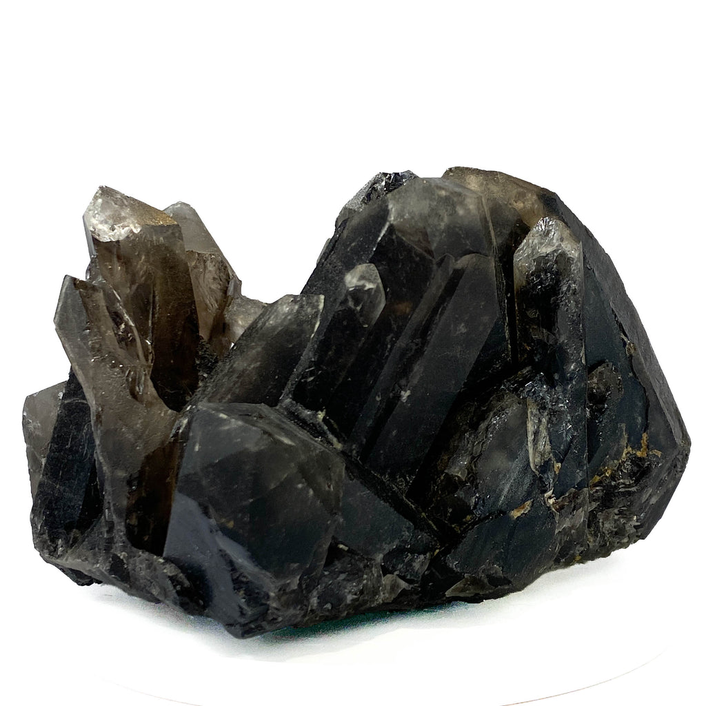 Black smoky quartz cluster with translucent crystals and good points on white background