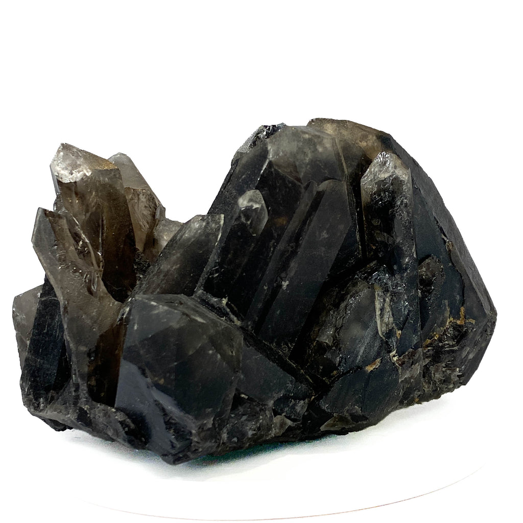 Black smoky quartz cluster with translucent crystals and good points on white background