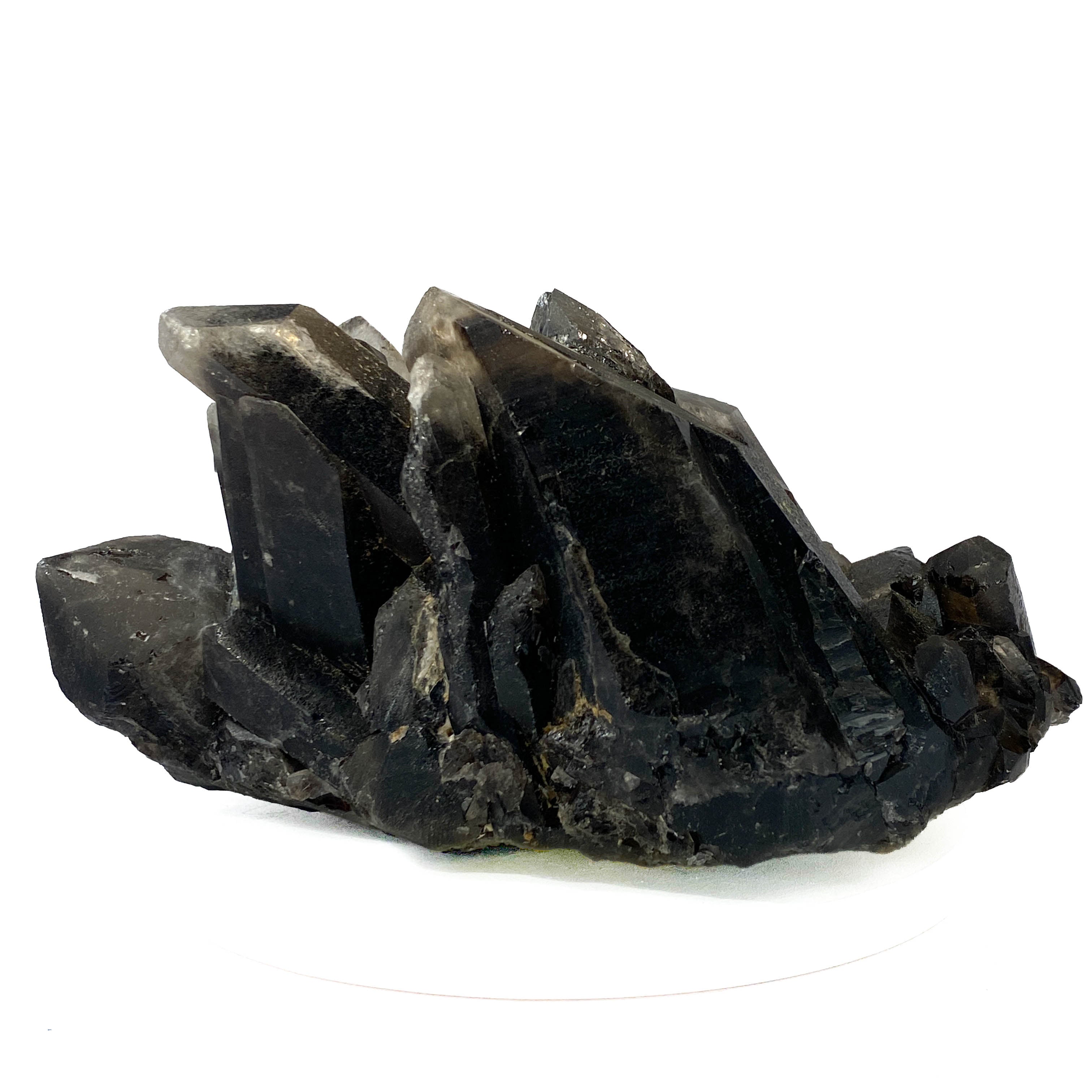 Black smoky quartz cluster with translucent crystals and good points on white background