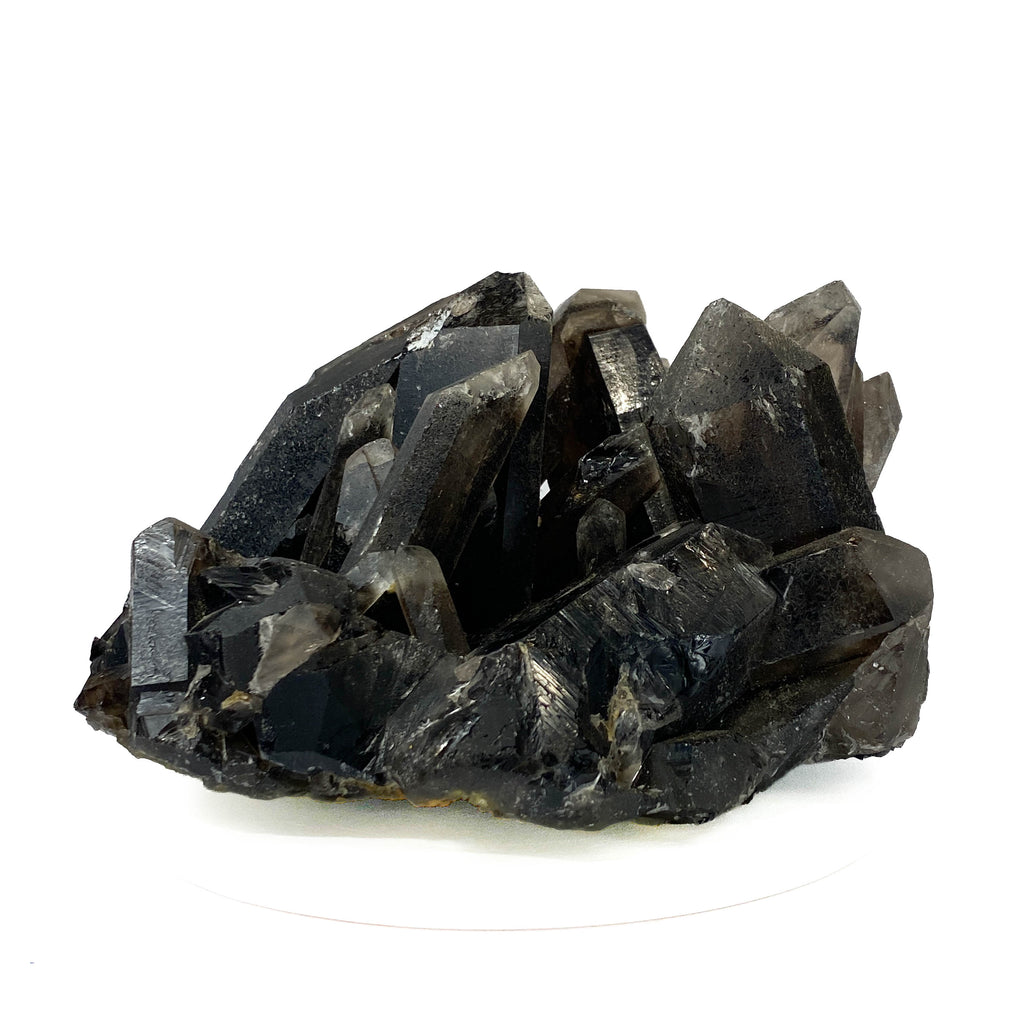 Black smoky quartz cluster with translucent crystals and good points on white background