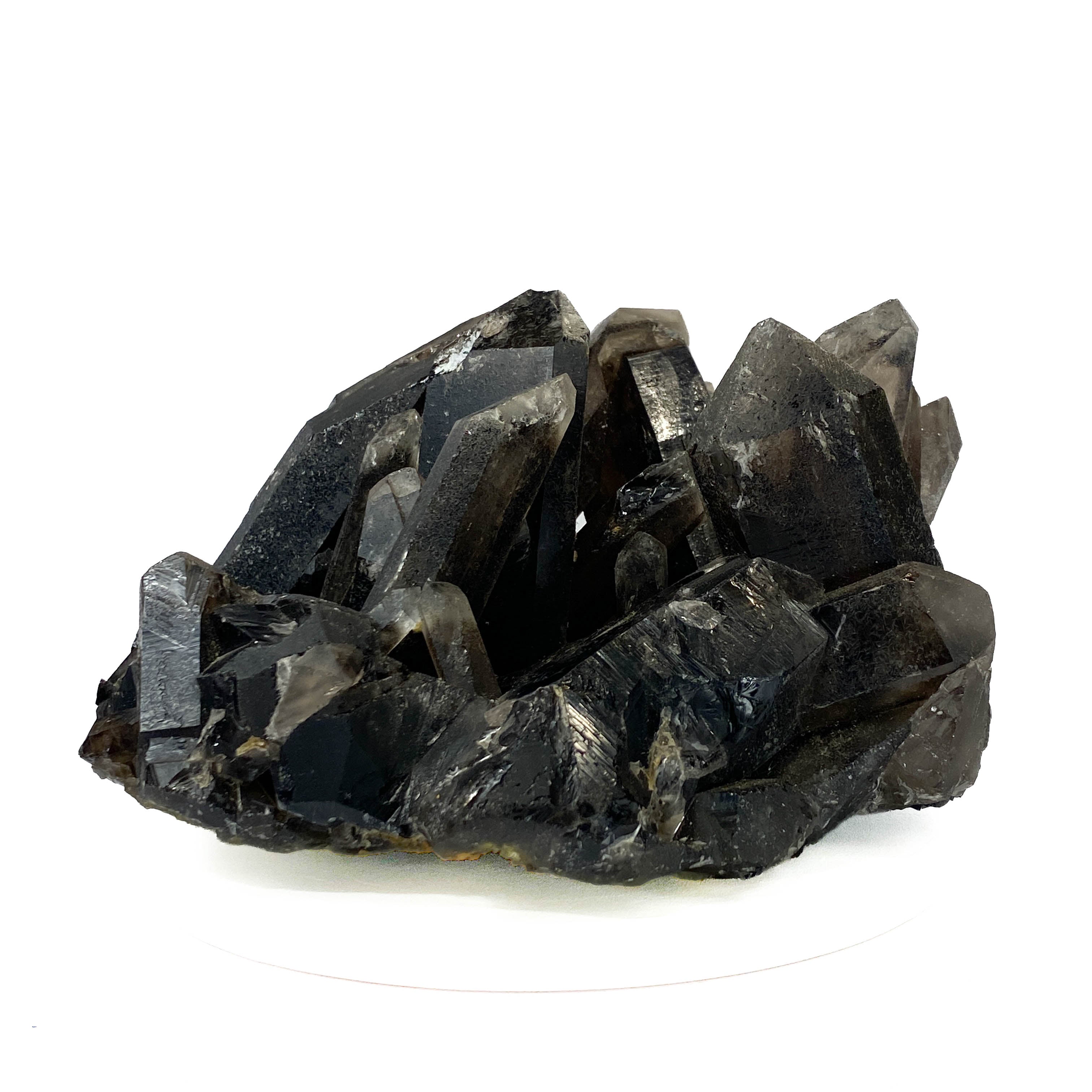 Black smoky quartz cluster with translucent crystals and good points on white background