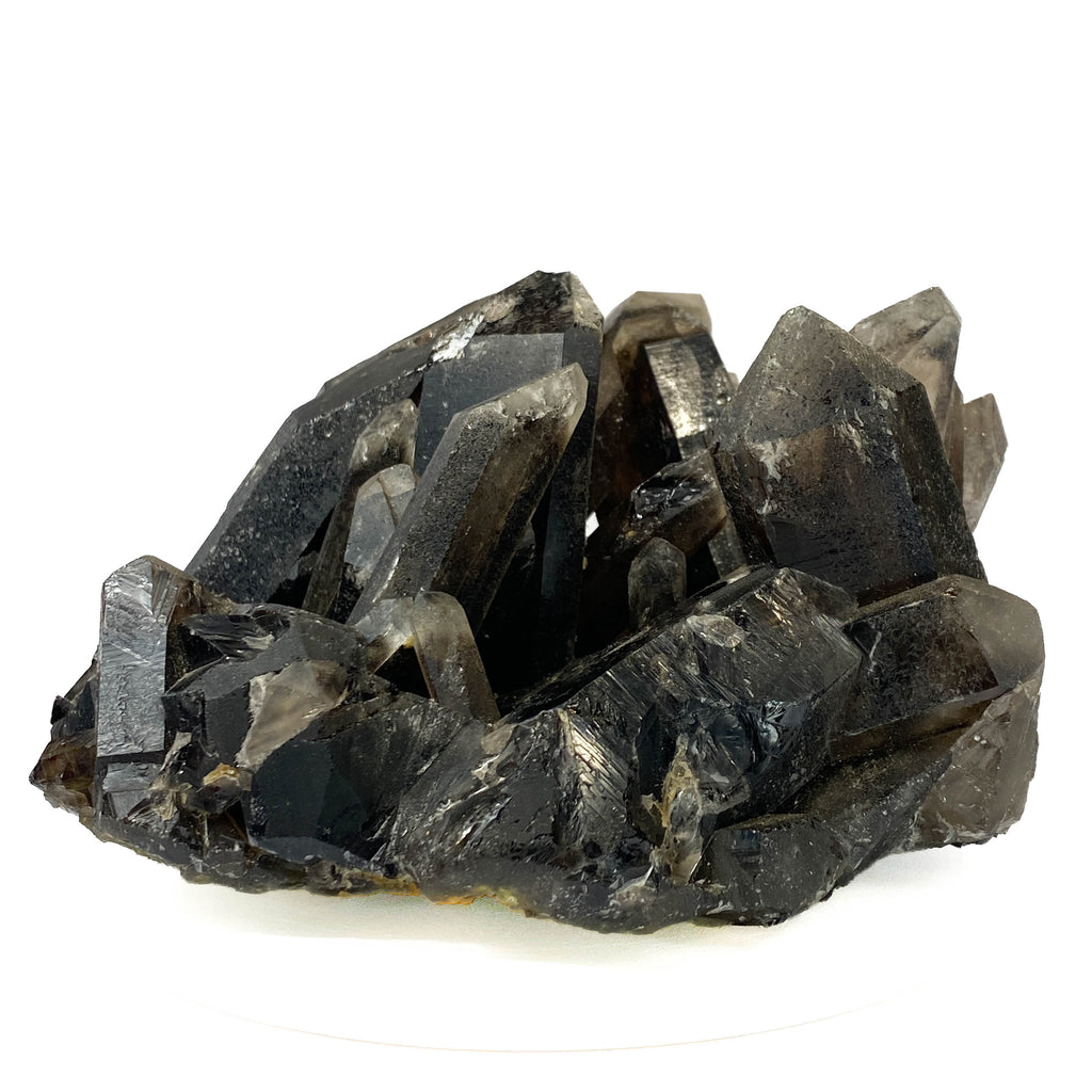 Black smoky quartz cluster with translucent crystals and good points on white background