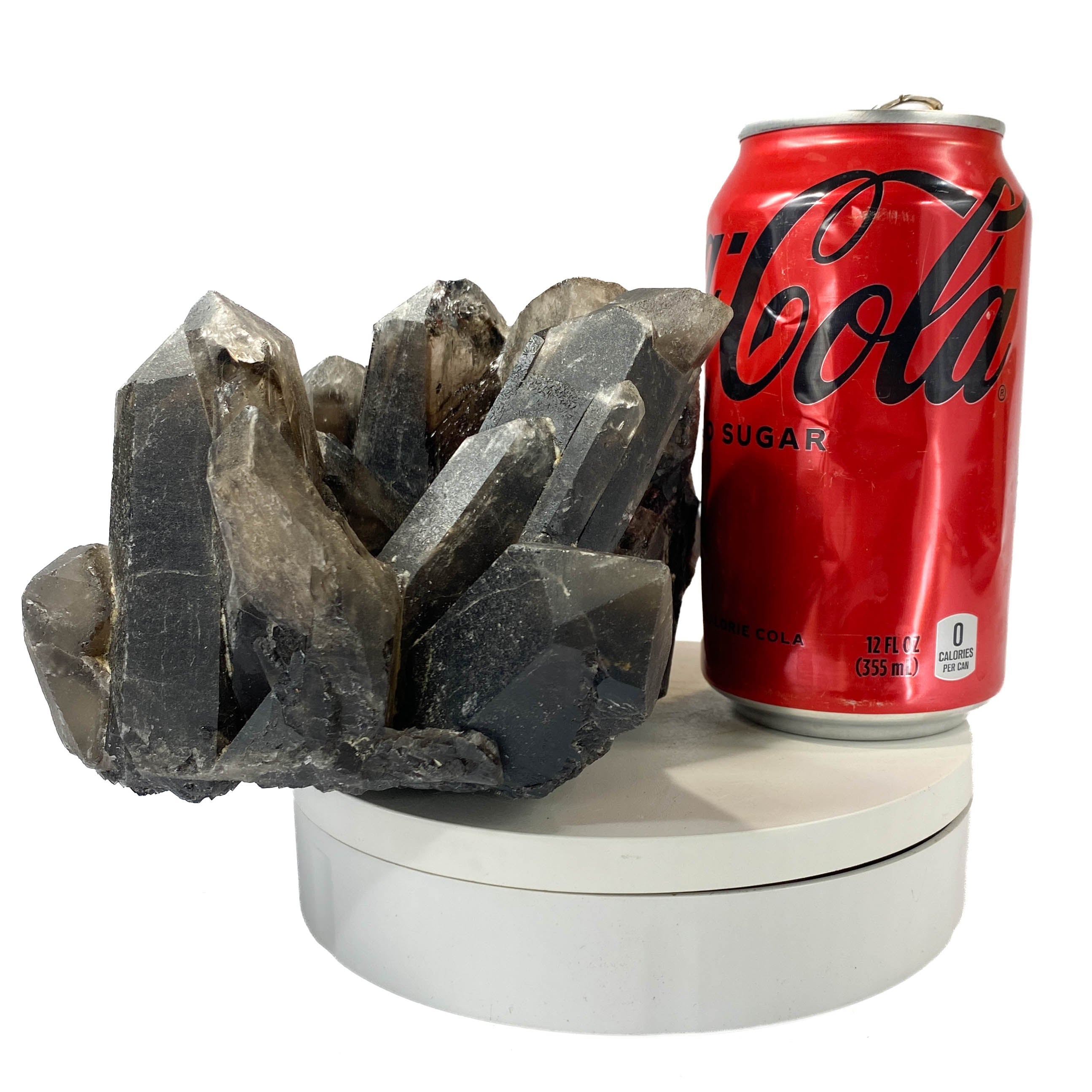 Black smoky quartz cluster with translucent crystals and good points, a soda can for scale