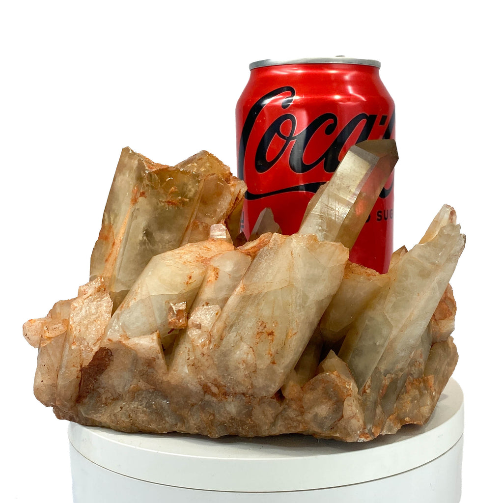 Citrine and golden healer quartz cluster with strong citrine point, a soda can for scale