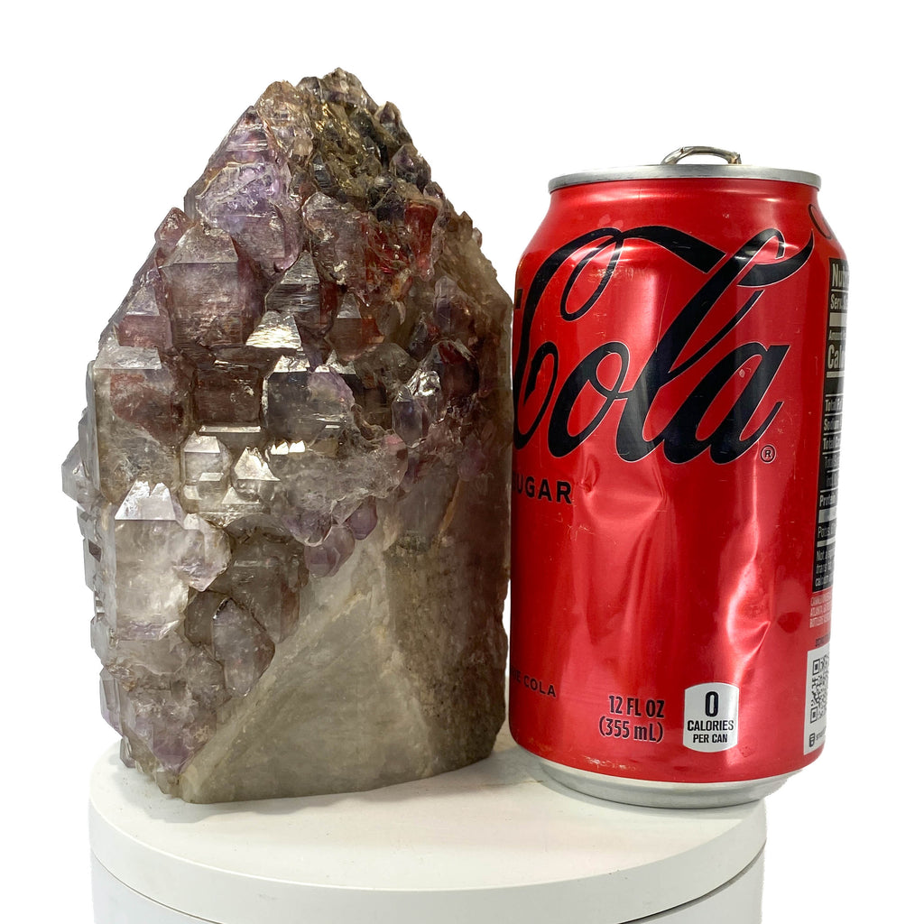 Montana amethyst standing crystal shown next to a soda can for size reference