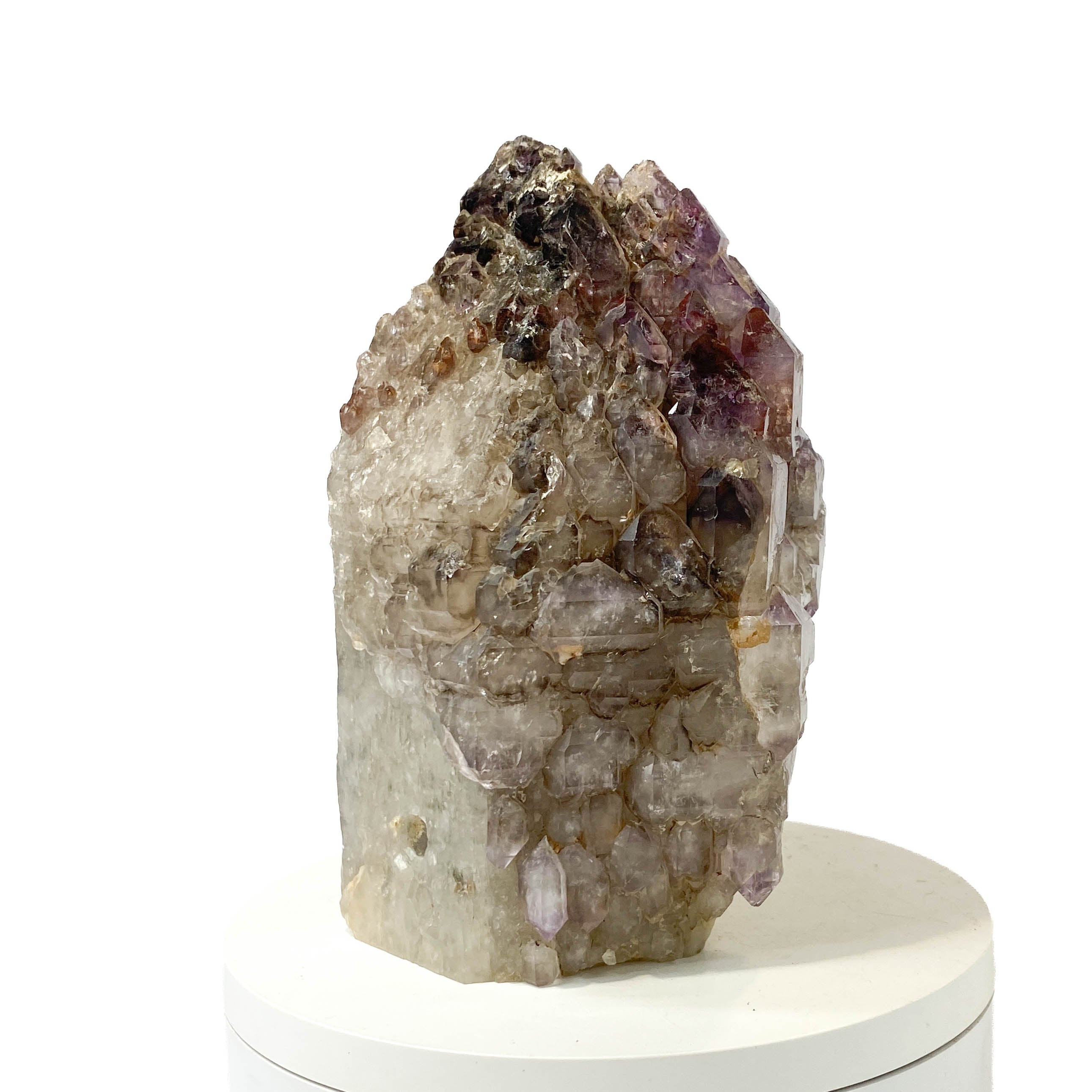 Montana amethyst standing crystal with jacaré elestial formation on white background