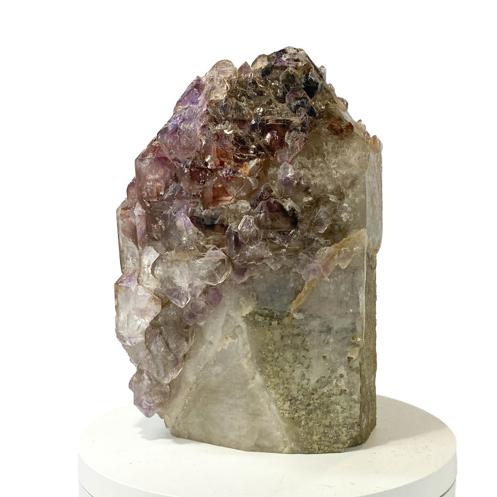 Montana amethyst standing crystal with jacaré elestial formation on white background