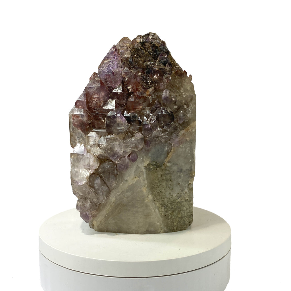 Montana amethyst standing crystal with jacaré elestial formation on white background