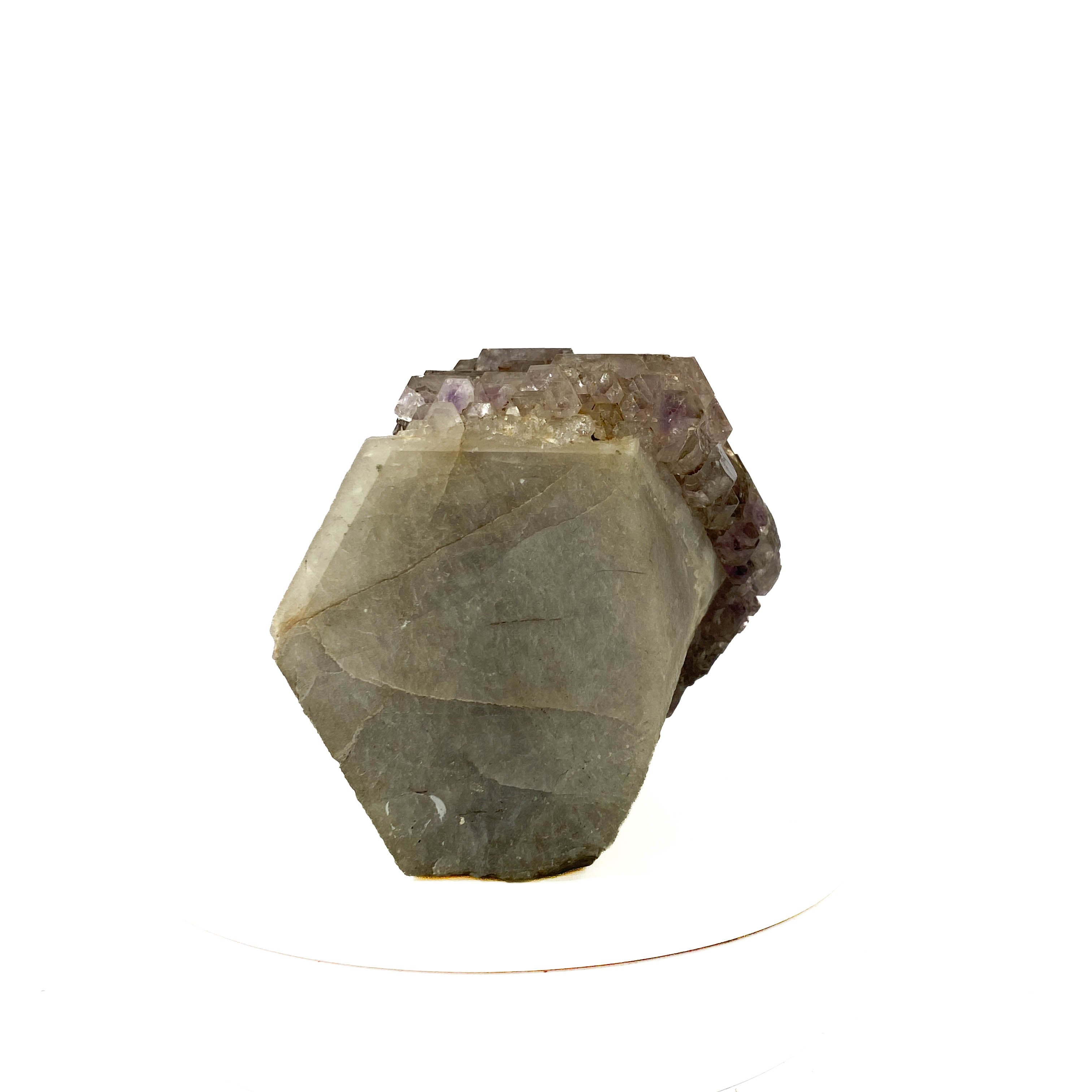 Montana amethyst standing crystal with jacaré elestial formation on white background