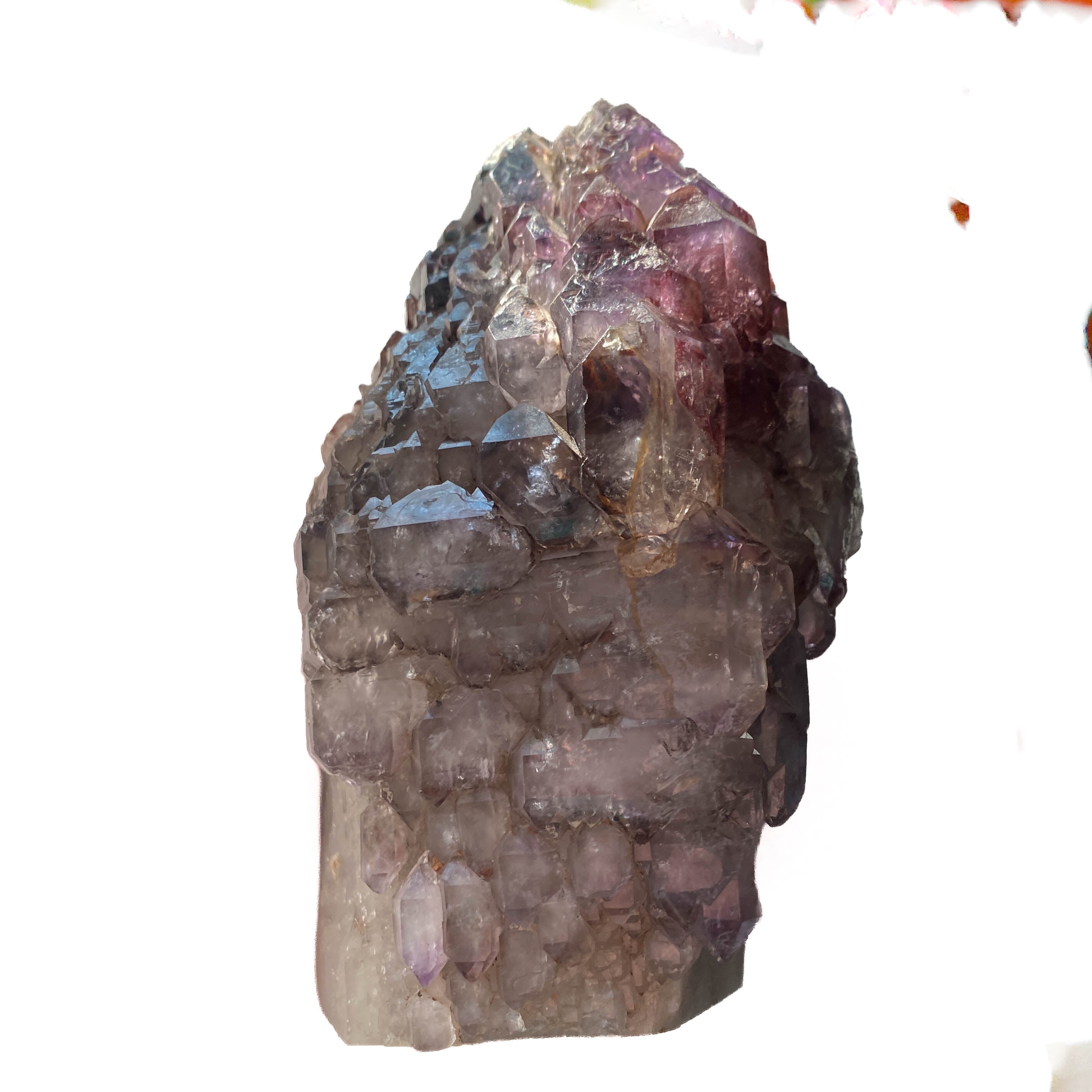 Montana amethyst standing crystal with jacaré elestial formation on white background