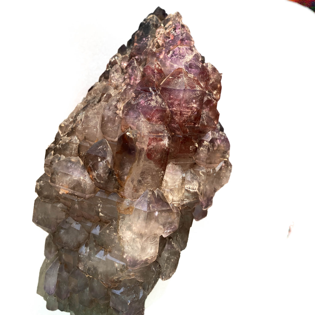 Montana amethyst standing crystal with jacaré elestial formation on white background