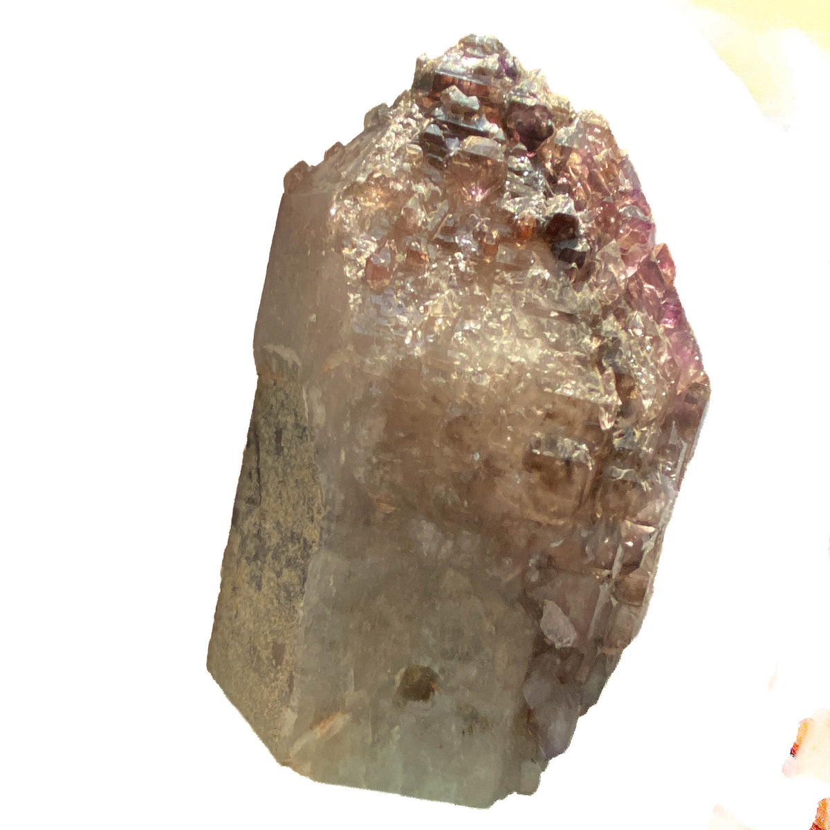 Montana amethyst standing crystal with jacaré elestial formation on white background