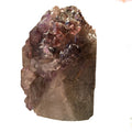 Montana amethyst standing crystal with jacaré elestial formation on white background