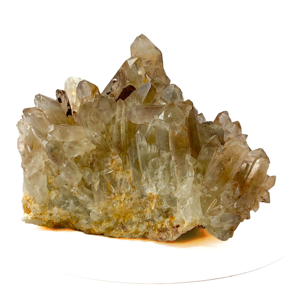 Smoky citrine quartz cluster with many crystal points on white background