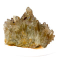 Smoky citrine quartz cluster with many crystal points on white background