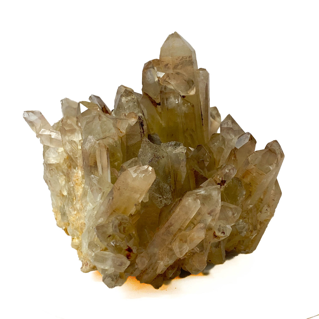 Smoky citrine quartz cluster with many crystal points on white background