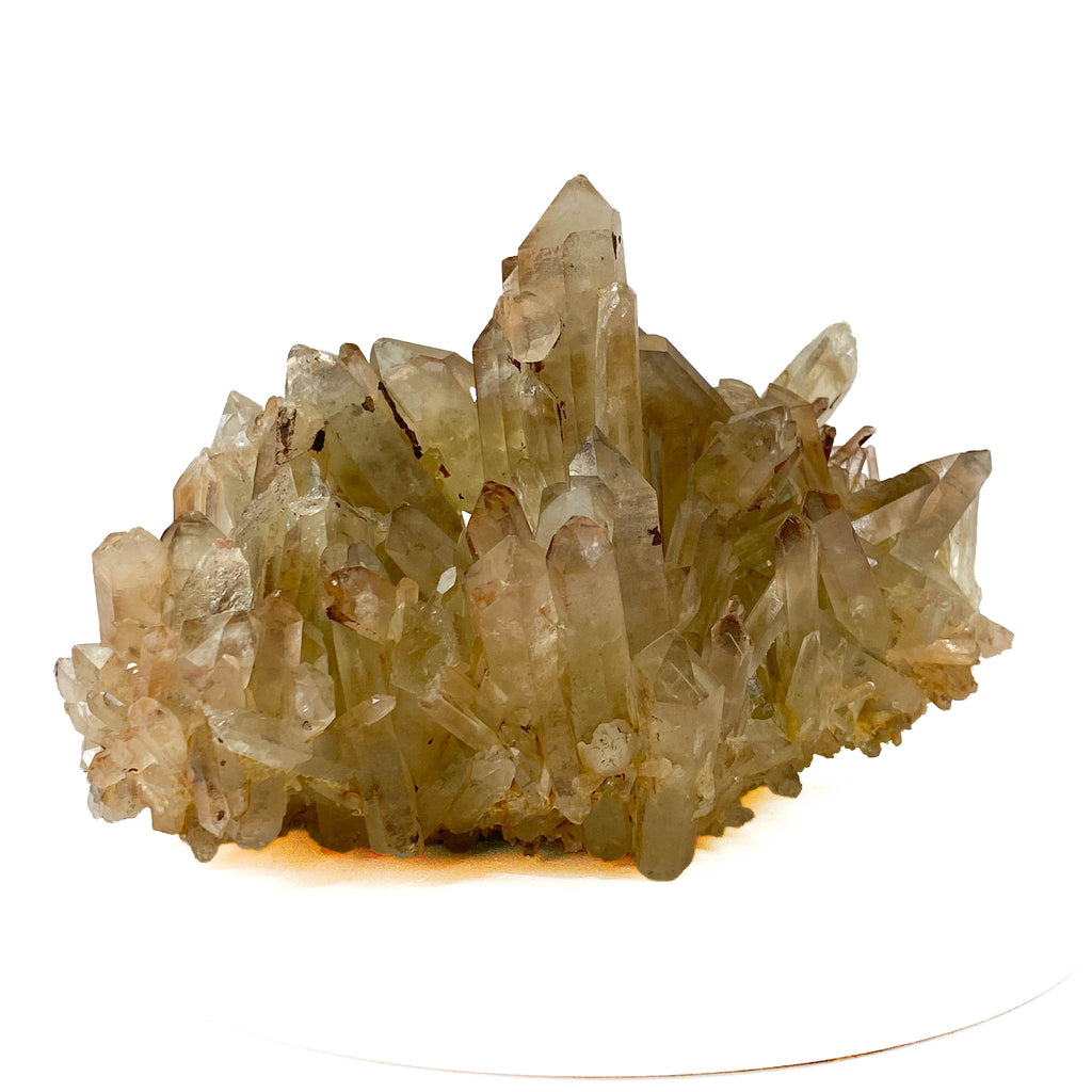 Smoky citrine quartz cluster with many crystal points on white background
