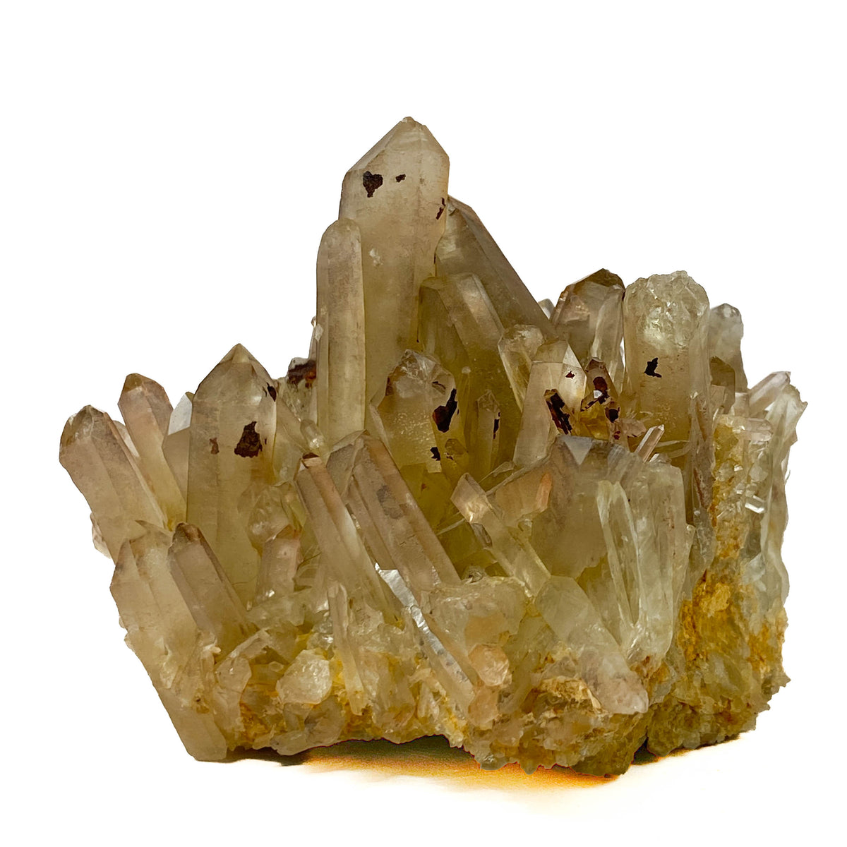 Smoky citrine quartz cluster with many crystal points on white background