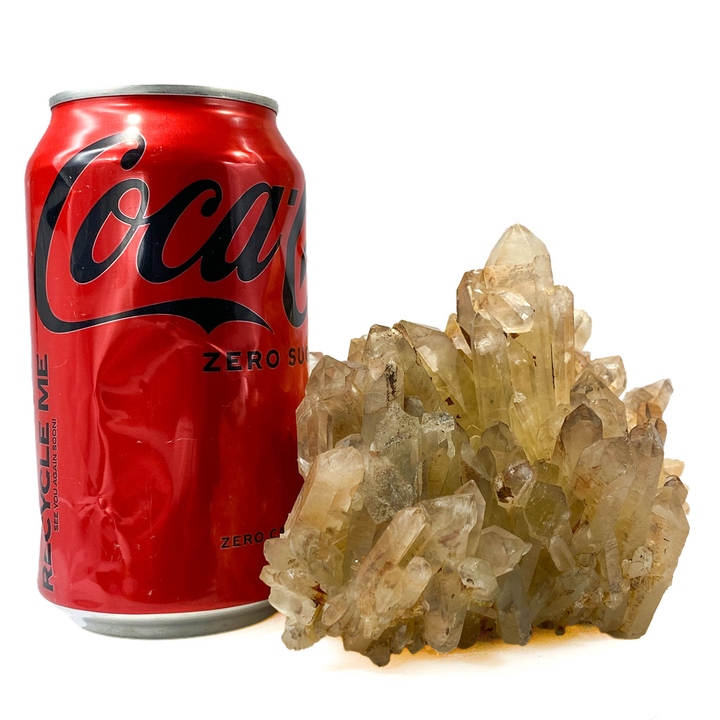 Smoky citrine quartz cluster shown next to a soda can for size reference