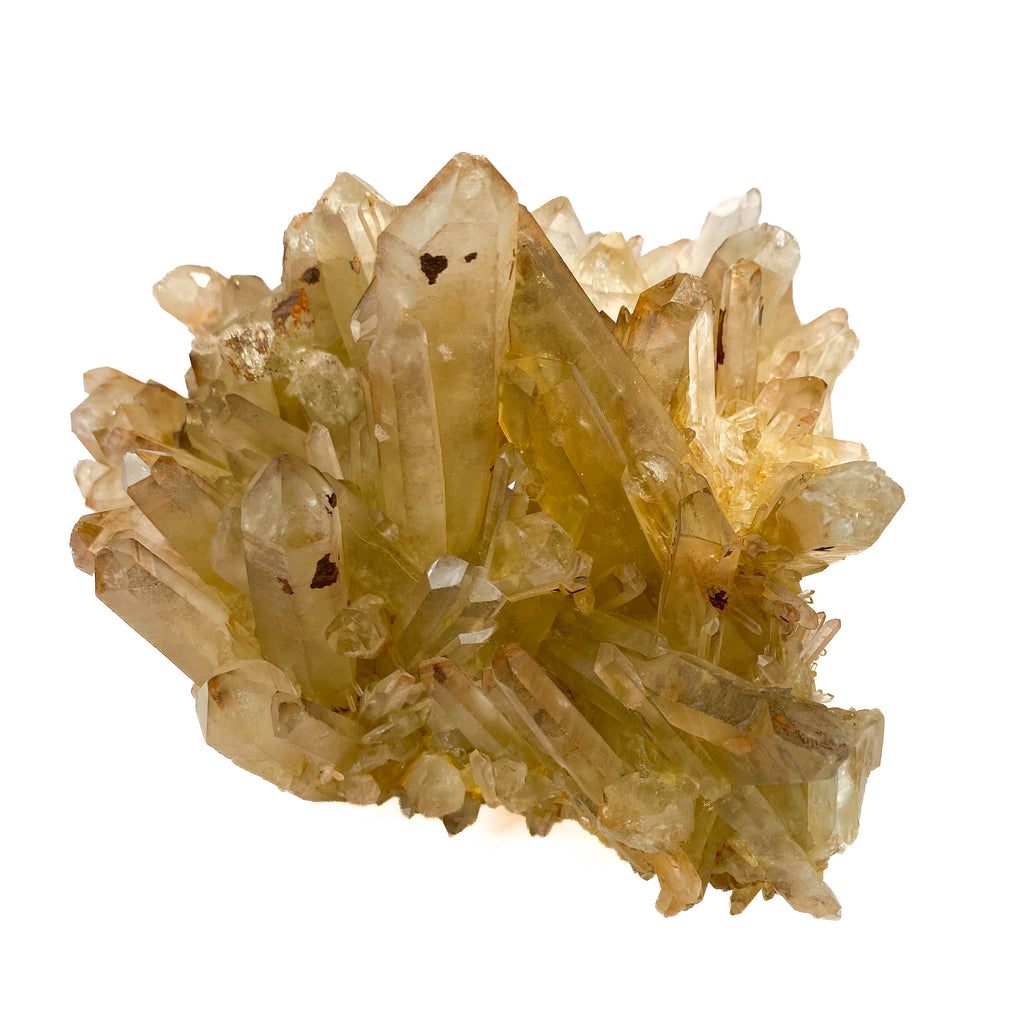 Smoky citrine quartz cluster with many crystal points on white background