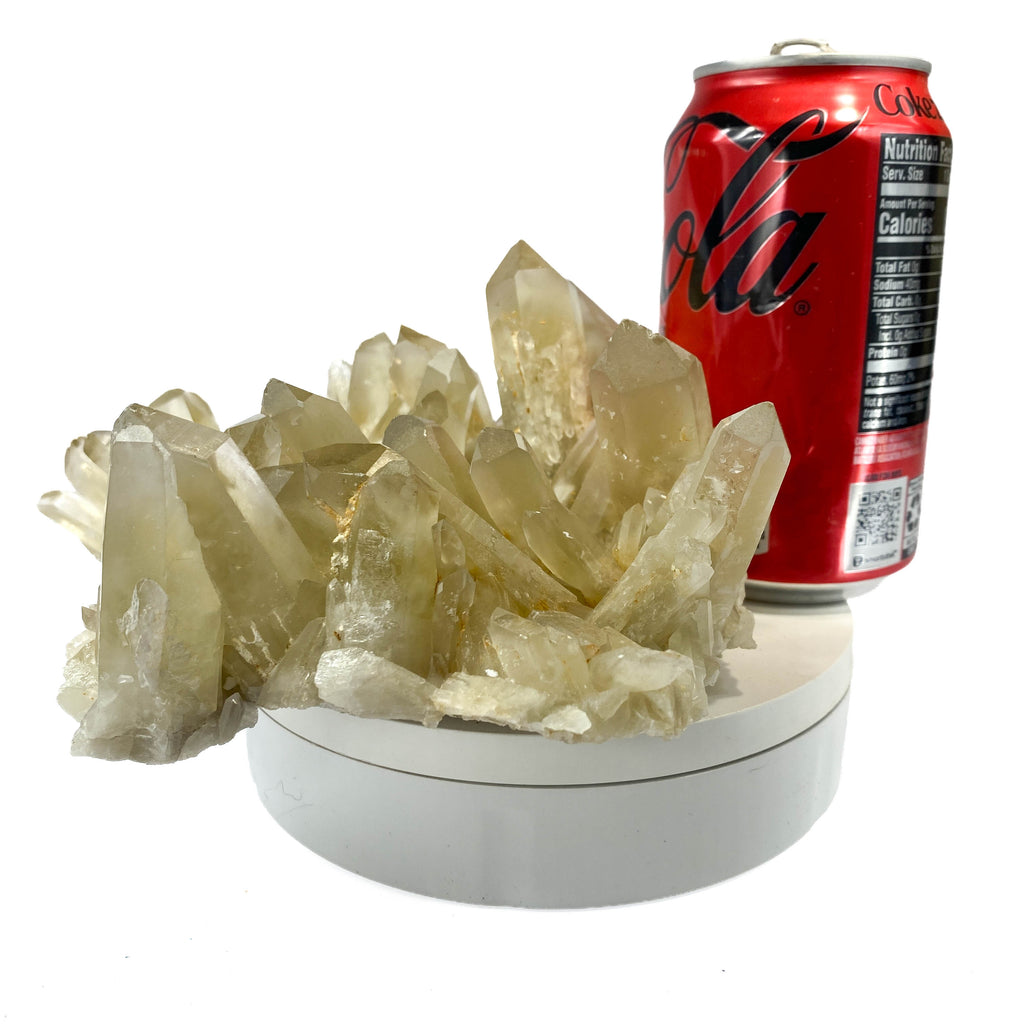 Natural citrine quartz cluster with clear crystal points on white background, a soda can for scale.