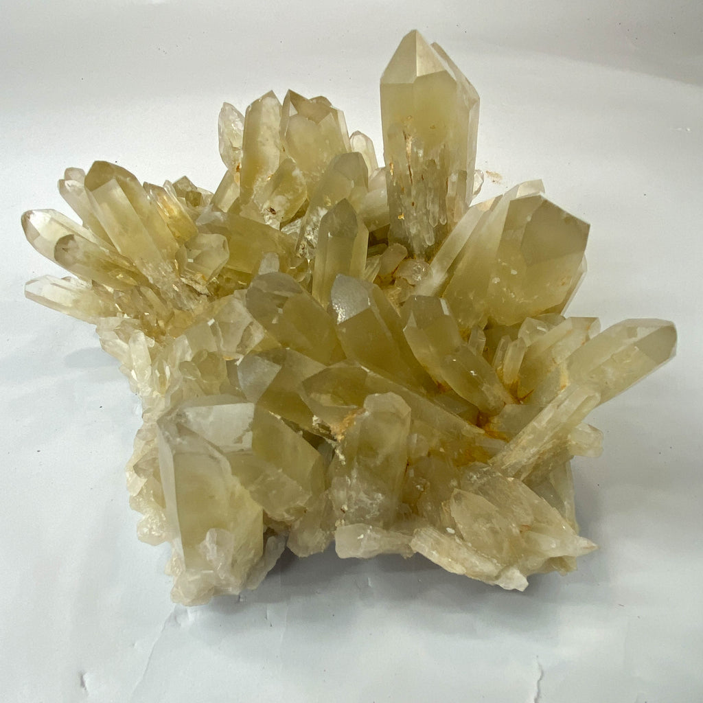 Natural citrine quartz cluster with clear crystal points on white background