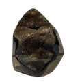 Septarian nodule with brown-black druzy pocket on white background