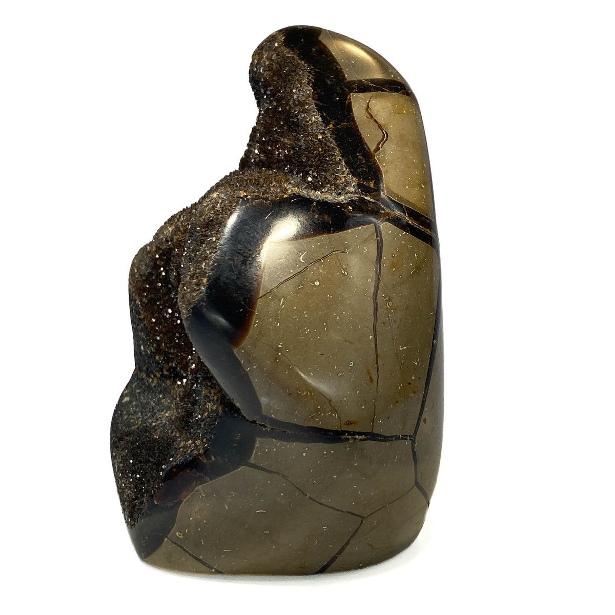 Septarian nodule with brown-black druzy pocket on white background