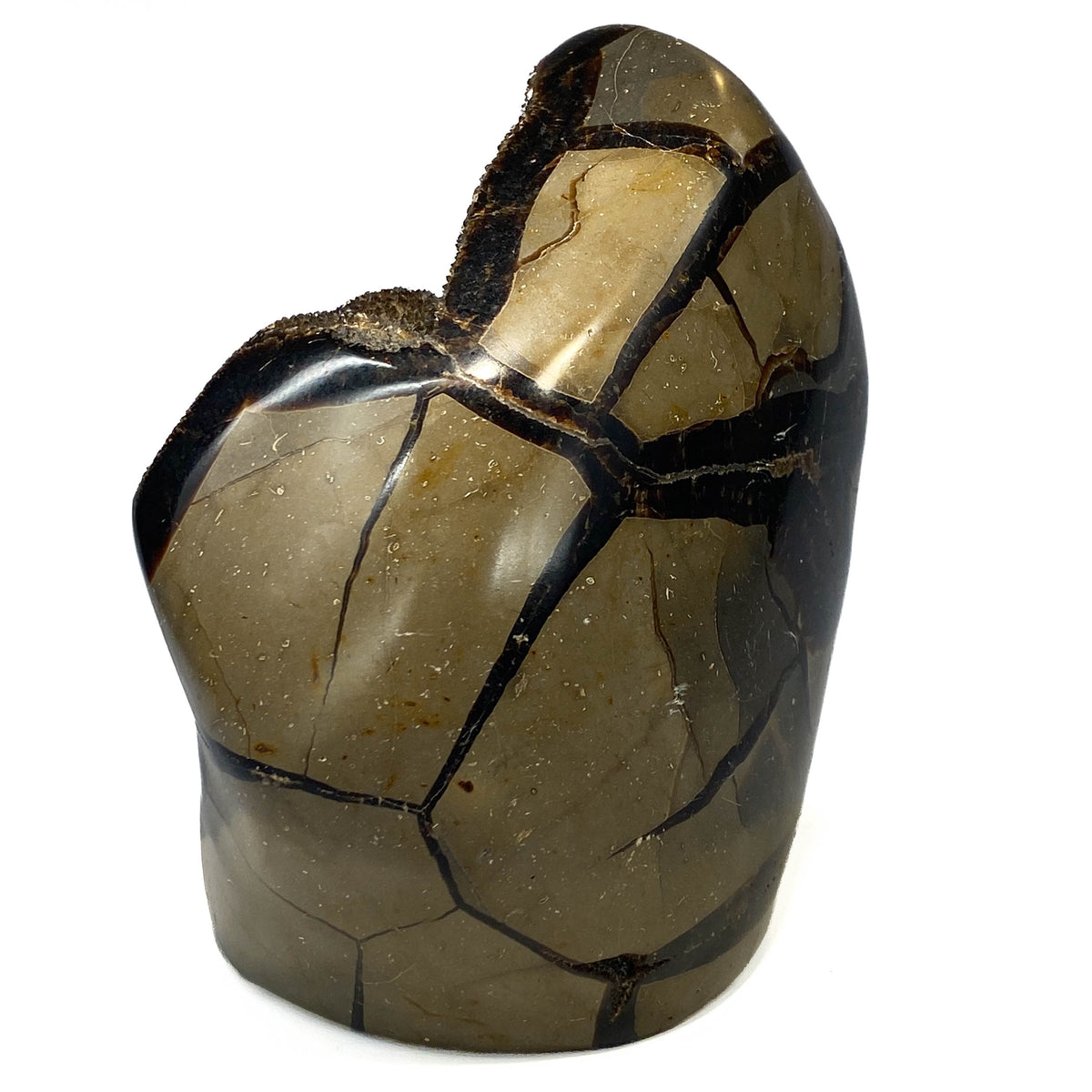 Septarian nodule with brown-black druzy pocket on white background