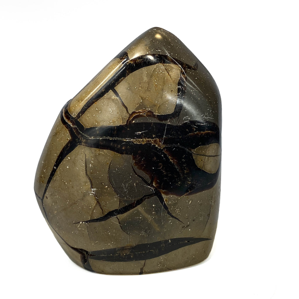 Septarian nodule with brown-black druzy pocket on white background