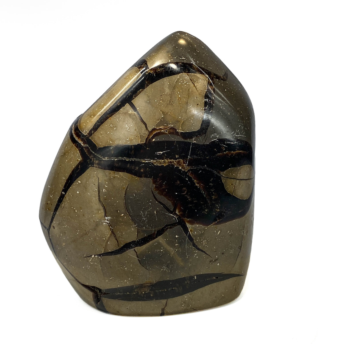 Septarian nodule with brown-black druzy pocket on white background