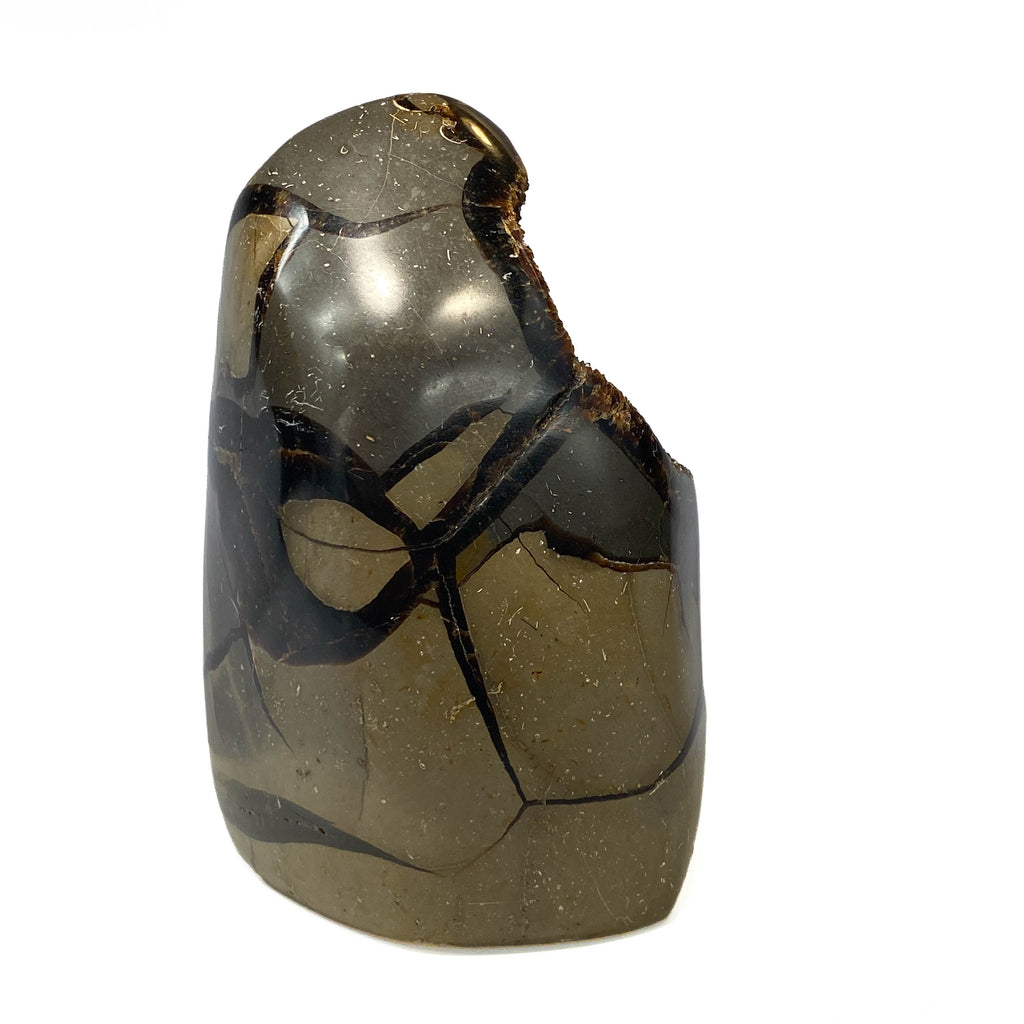 Septarian nodule with brown-black druzy pocket on white background