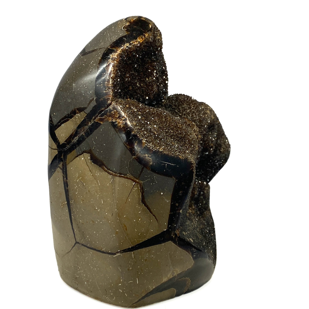 Septarian nodule with brown-black druzy pocket on white background