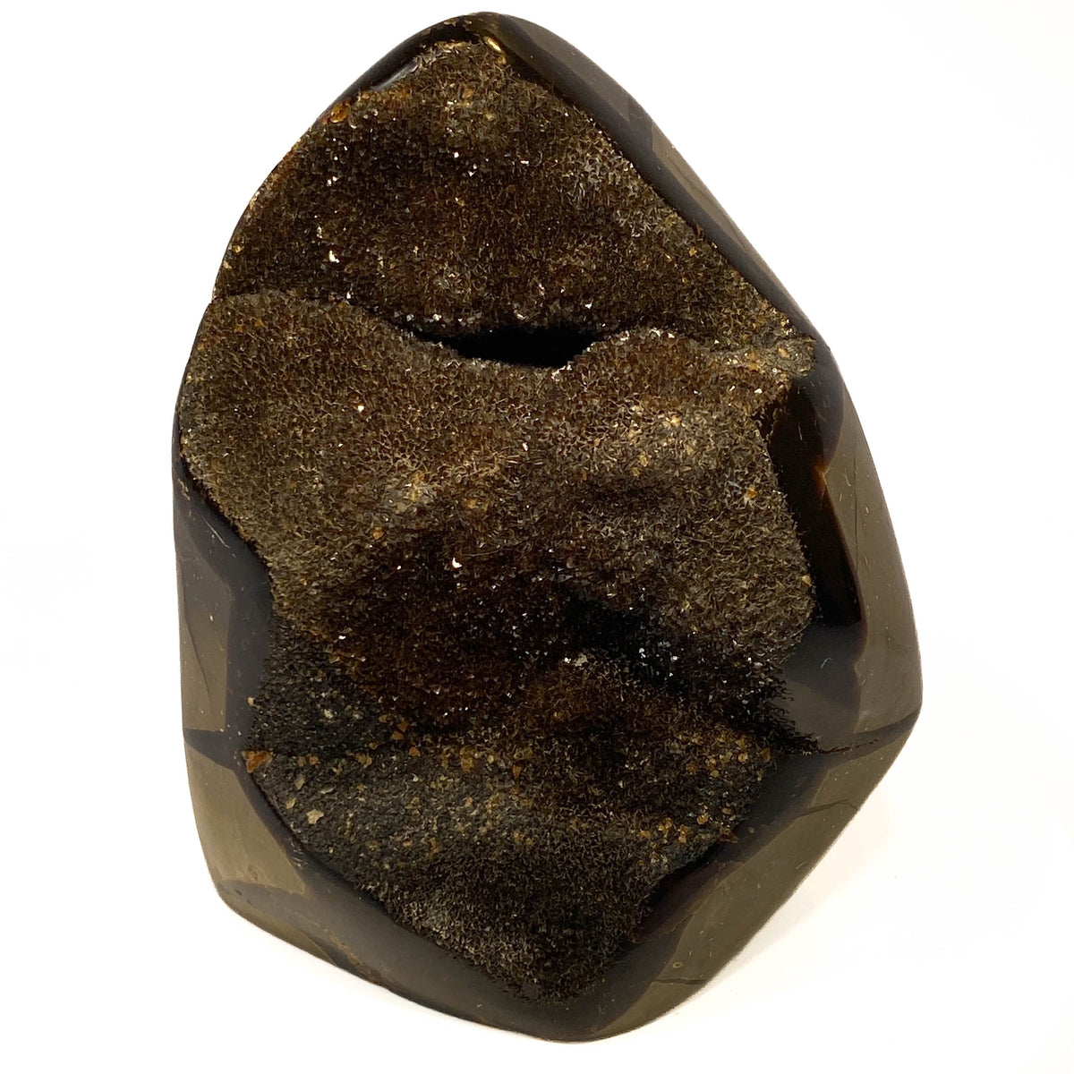 Septarian nodule with brown-black druzy pocket on white background