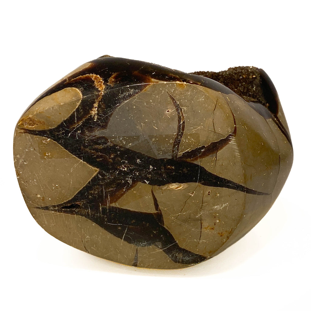 Septarian nodule with brown-black druzy pocket on white background